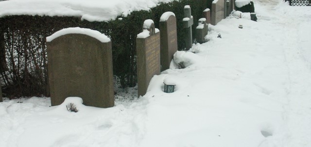 image.jpeg (3)