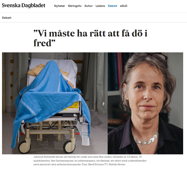 Svd2024-01-13.png